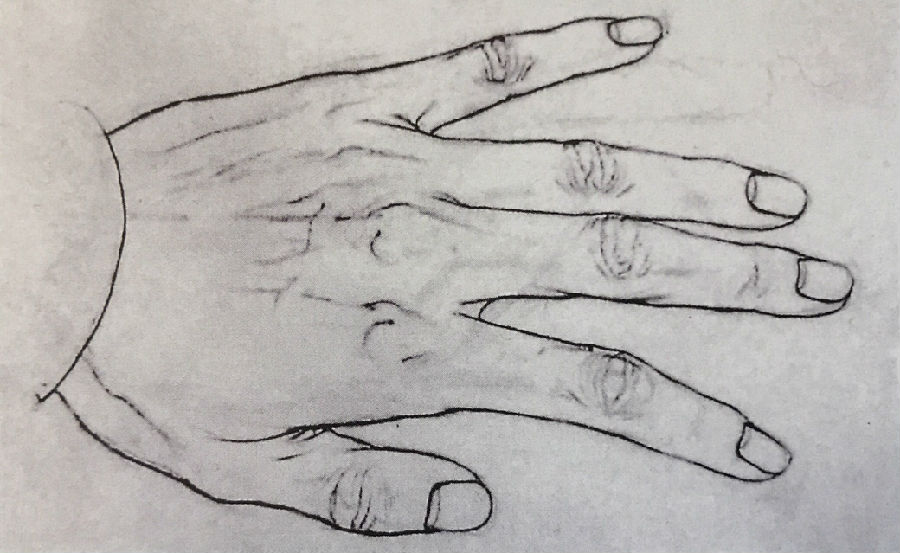 中国美术学院美术考级人物画考级四级(中级)示范图例，《手的动态默写》。
