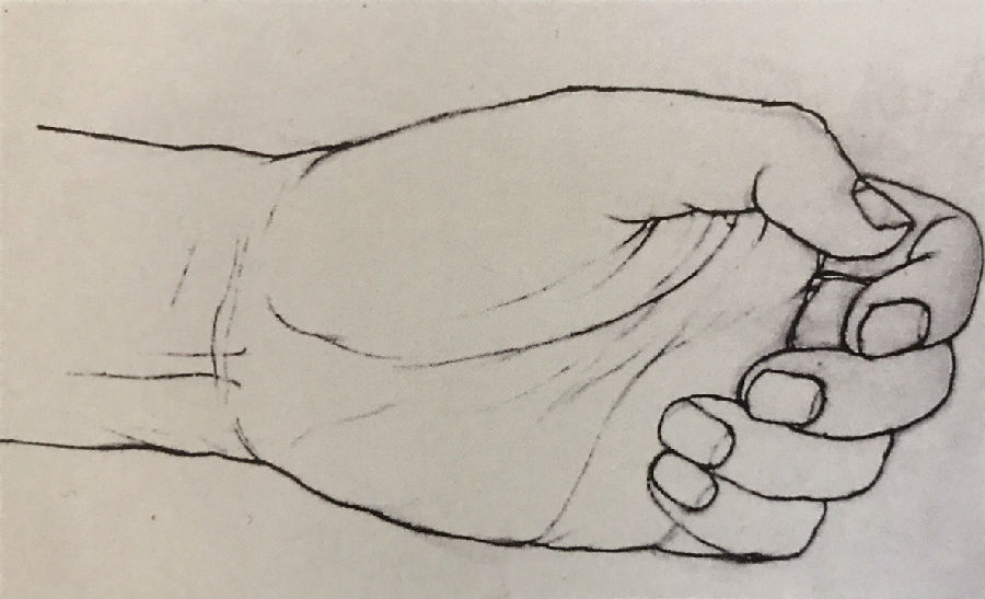 中国美术学院美术考级人物画考级四级(中级)示范图例，《手的动态默写》。