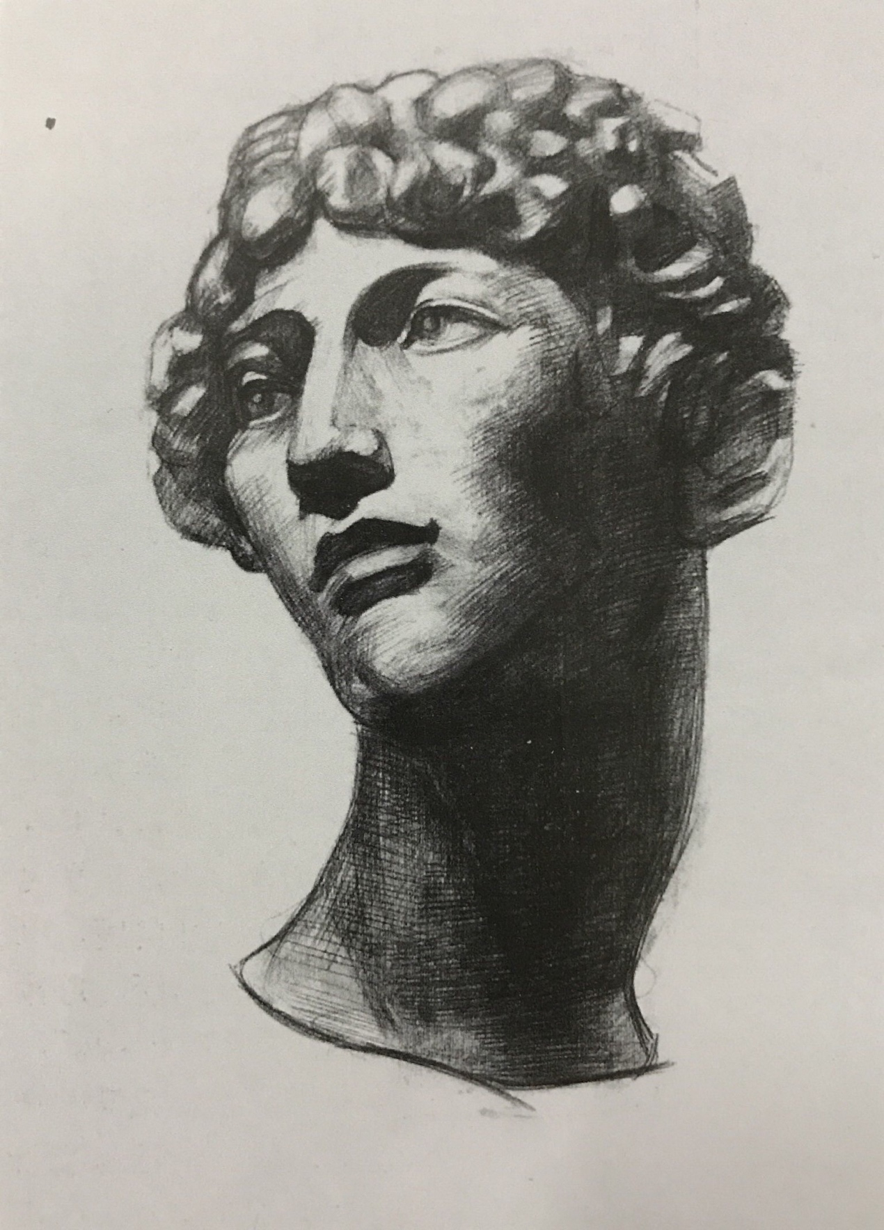 构图饱满,有较强的形体感和画面完整性,头发的处理相对具体。画部与脖子的比例存在一定的问题,五官与脖子的处理存在不足。