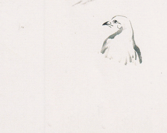 02.gif 用大笔浓墨画嘴、眼和颈部。